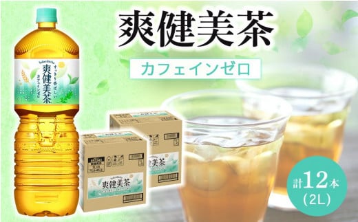 コカ・コーラ 爽健美茶 2L 6本×2ケース 計12本 484476 - 和歌山県海南市