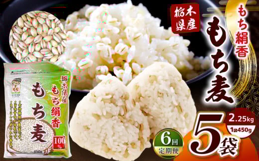 【定期便6回】栃木県産もち麦 2.25kg(450g×5袋)| もち麦 麦 むぎ 栃木県産 もち 大麦 食物繊維 β-グルカン 糖質 ダイエット 腸内環境 栃木県 真岡市 送料無料