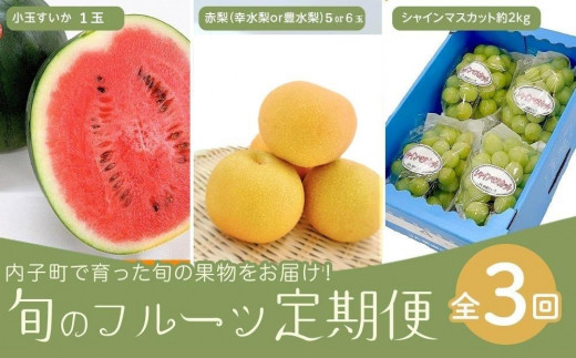 3回定期便　内子町産すいか・梨・ぶどう　旬のフルーツ定期便【北海道・沖縄配送不可】【フルーツ 果物 くだもの 食品 人気 おすすめ 送料無料】 851331 - 愛媛県内子町