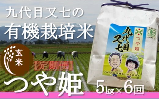 10月スタート【定期便6回】九代目又七の【玄米】有機つや姫5kg