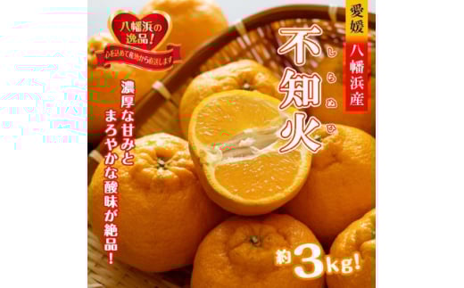 2026年2月～順次出荷　甘さと酸味の絶妙なバランス!はじける果肉「不知火」約3キロ＜C39-74＞【1620480】