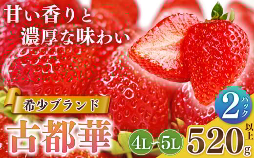 いちご 平群の古都華 4L〜5Lサイズ 2パック  扇田農園 | 果物 くだもの フルーツ 苺 イチゴ いちご ストロベリー 古都華 ことか 旬の品種  奈良県 平群町 1992962 - 奈良県平群町
