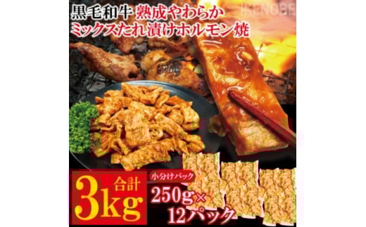 黒毛和牛熟成やわらかミックスたれ漬けホルモン焼 直営焼肉店の味3kg[250g×12P] 牛肉 黒毛和牛 和牛 ホルモン ミックス 熟成 たれ漬け タレ 味付け肉 焼肉 小分け 惣菜 おかず 弁当 冷凍 【そうざい男しゃく（株式会社池延）】 【ho1493】 2102800 - 茨城県常陸大宮市