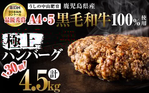 <A4・A5等級>鹿児島県産黒毛和牛100%使用極上手ごねハンバーグ計4.5kg(150g×30個) d0-033 427383 - 鹿児島県志布志市