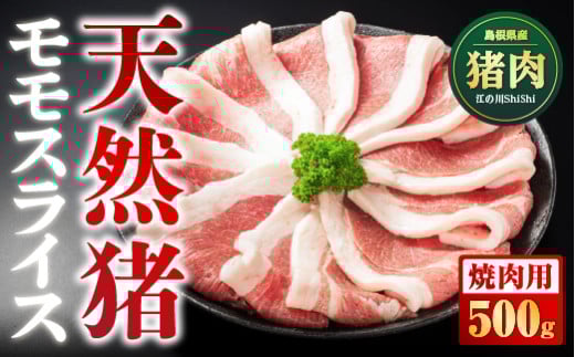 天然猪 江の川shishi 猪モモスライス 焼肉用 500g （ 2～3人前 ） AI-6 いのしし肉 イノシシ肉 猪肉 猪 モモ肉 スライス ジビエ 2103582 - 島根県江津市