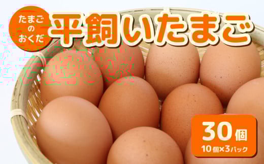 平飼い卵 30個入り (10個×3パック) | たまごのおくだ 卵 タマゴ 鶏卵 たまごかけごはん TKG オムレツ 卵かけご飯 たまご焼き おいしい 人気 おすすめ  高知県 南国市