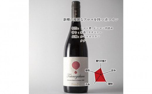 立野原 カベルネフラン&タナ2023 ワイナリー風景ポチ袋5枚セット付き 2102696 - 富山県南砺市