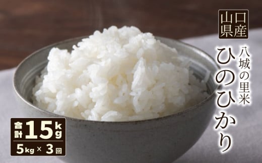 【先行予約】【定期便 3ヶ月】ひのひかり 精米 5kg 計15kg 1139041 - 山口県下関市
