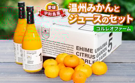 温州 みかん 2.2kg ジュース 720ml × 2本 セット コルレオファーム 先行予約 南柑20号 ミカン 蜜柑 愛媛みかん 愛媛ミカン 愛媛蜜柑 mikan 果物 くだもの フルーツ 柑橘 プレゼント 贈り物 贅沢 農家直送 産地直送 数量限定 愛媛 宇和島 B016-145015 2145223 - 愛媛県宇和島市