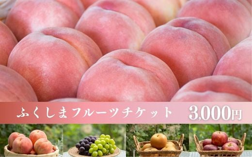 福島県福島市のふるさと納税 No.2475くだものを現地で入手！！「ふくしまフルーツチケット」