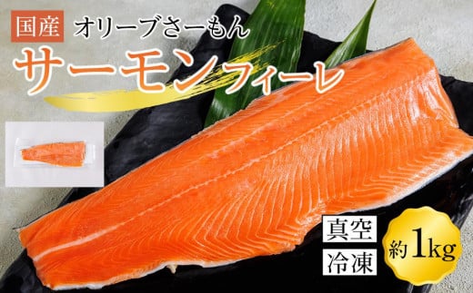 サーモン 冷凍 フィーレ 1kg 生食用 