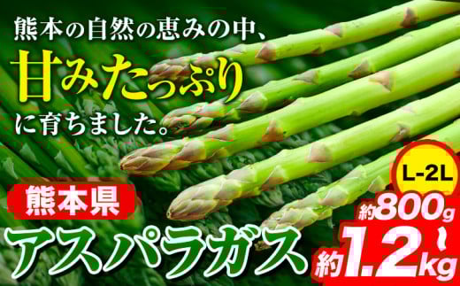 アイテムID:425902の画像1枚目