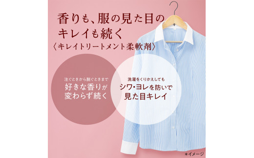 大阪府堺市のふるさと納税 ライオン「ソフランアロマリッチクレア」つめかえ用特大 950ml×6袋