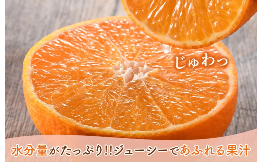 ご家庭用】【数量限定】今治産 紅まどんな 5kg（Mサイズ
