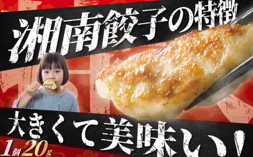 神奈川県藤沢市のふるさと納税 餃子 湘南ぎょうざ 168個 (42個×4パック)  国産 ブランド豚 ルイビ豚 肉汁たっぷり 豚肉 焼き餃子 ぎょーざ ギョーザ ぎょうざ 冷凍餃子 こだわり餃子 生餃子 ごはんのお供 晩酌のお供 簡単調理 時短 冷凍 小分け 簡易包装 手作り餃子 冷凍食品 湘南ぎょうざのサノフーズ 神奈川 湘南 藤沢