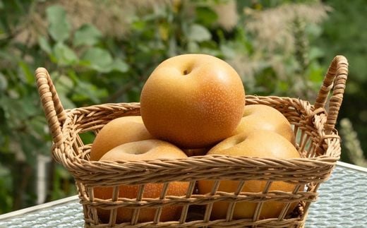 福島県福島市のふるさと納税 No.2475くだものを現地で入手！！「ふくしまフルーツチケット」