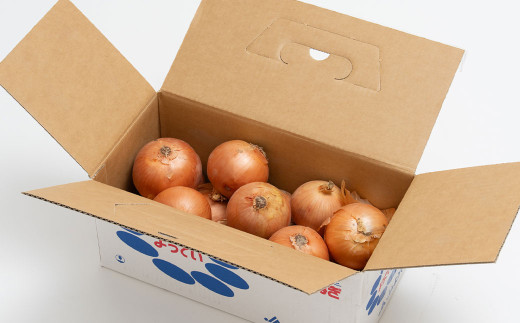 じゃがいも 男爵 Lサイズ 約5kg×1箱・玉ねぎ Lサイズ 約3kg×1箱 （JA） 計約8kg