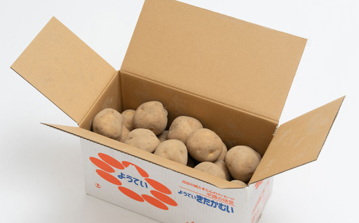 じゃがいも 男爵 きたかむい Lサイズ 各約5kg×1箱 計約10kg （JA）