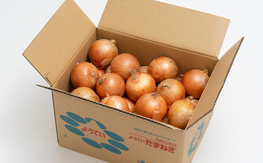 じゃがいも 男爵 Lサイズ 約10kg×1箱・玉ねぎ L大サイズ 約10kg×1箱 （JA） 計約20kg
