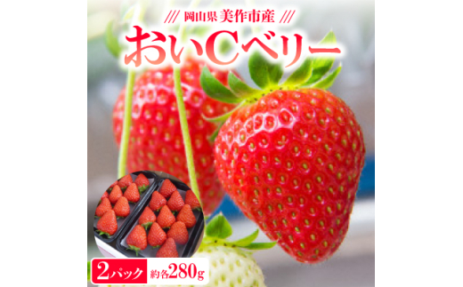 岡山県美作市産　おいCベリー(約280g×2パック)【1464410】 1129696 - 岡山県美作市