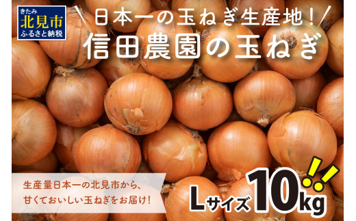 canamo88様限定 北海道産　自然栽培手拾いペコロスタイプ玉ねぎ10kg 予約】北海道北見産 玉ねぎ 10kg ( 野菜 たまねぎ タマネギ 玉葱