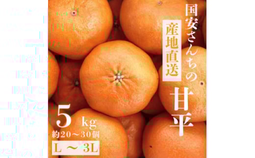 ＜愛媛が誇る 高級みかん 希少品種＞甘平 (かんぺい) 5kg＜H20-66＞【1620336】