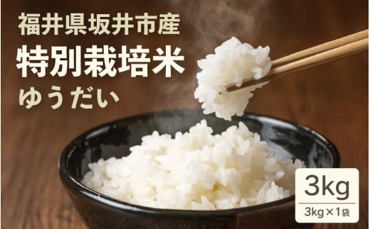 福井県 坂井市産 特別栽培米ゆうだい 3kg 減農薬 減化学肥料 【お米 3キロ 特別栽培 ふるさと納税米 産地直送】 [A-4841]
