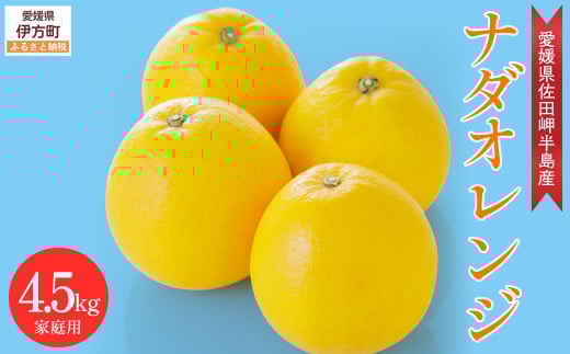 【先行予約】【農家直送】愛媛県産 ナダオレンジ 家庭用 4.5kg（2025年5月中旬より順次発送予定） 【 ふるさと納税 人気 おすすめ ランキング 柑橘 蜜柑 みかん ミカン 果物 フルーツ 河内晩柑 ナダオレンジ オレンジ 家庭用 愛媛県 伊方町 送料無料 】 IKTC006 2106277 - 愛媛県伊方町