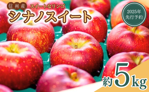 【2025年先行予約】スイートなりんご シナノスイート 約5kg｜ 林檎 信州りんご 千曲市 長野県 