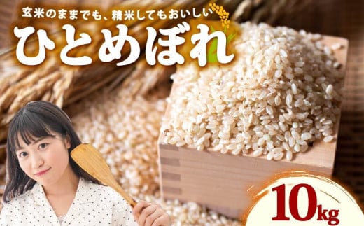 米 ひとめぼれ 新米 玄米 10kg お米 健康 ダイエット 米 日常 食卓 家庭用 ヒトメボレ 静岡県 牧之原市 もちもち あまい 食物繊維 ごはん 大石農園 静岡県 牧之原市
