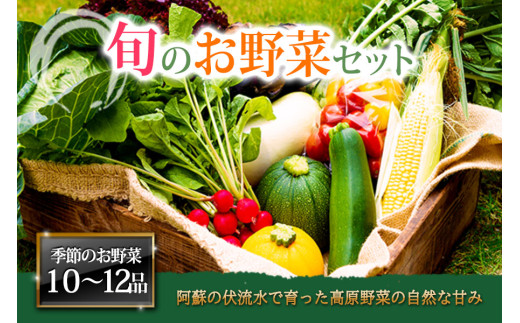 ＜畑から直送＞季節のお野菜セットをお届け！【XLサイズ】旬のお野菜の中から10～12品を厳選♪ 野菜 新鮮 野菜セット 農家直送 産地直送 野菜 厳選 こだわり 朝採れ 採れたて フレッシュ サラダ 高原野菜 果物 フルーツ 詰め合わせ おまかせ 大地の恵み 贈り物 ギフト 便利 食卓 家族 主婦 料理 お弁当 人気 おすすめ お取り寄せ 野菜 熊本県 阿蘇市 1420015 - 熊本県阿蘇市