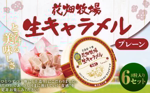 花畑牧場 生キャラメル プレーン 8粒入り×6セット キャラメル お菓子 おやつ 冷蔵 [002-0083]