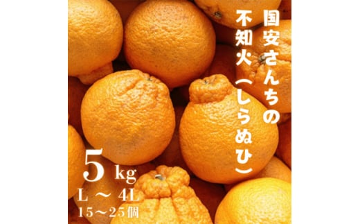 ＜糖度14.0以上酸1.4以下＞糖酸選別品 愛媛産 不知火 (しらぬひ) 5kg＜D20-61＞【1620228】 2104691 - 愛媛県八幡浜市