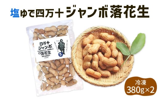 2024新豆　塩ゆで四万十ジャンボ落花生760g（380g２個）　こだわりの無農薬栽培！大きいだけじゃない！美味しさもジャンボ！Fsy-12 ピーナッツ ピーナツ ジャンボピーナッツ おつまみ ビールのお供 国産 豆  1535323 - 高知県四万十町