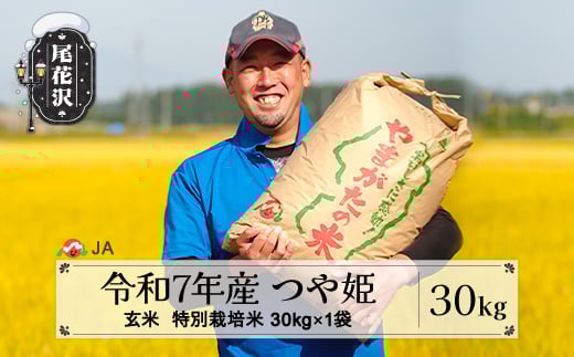 令和7年産 新米 玄米 特別栽培米 つや姫 30kg 11月上旬発送 ja-tsgta30-11f