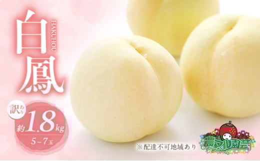 桃 2025年 先行予約 訳あり品 白桃 白鳳 約1.8kg 5〜7玉 もも モモ フルーツ 果物 岡山 赤磐市産 農マル園芸 あかいわ農園