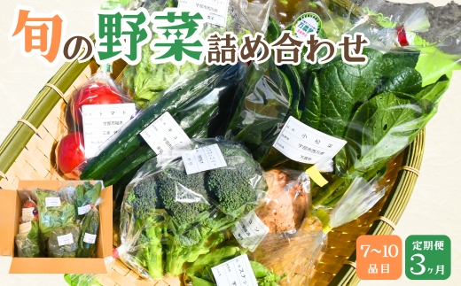 【3ヶ月定期便】新鮮野菜の産直 7～10品目 ＜楠こもれびの郷「楠四季菜市」＞【新鮮野菜 宇部市産 季節野菜 詰合せ 直送 野菜セット 旬の野菜 地元産 新鮮食品 野菜ボックス】