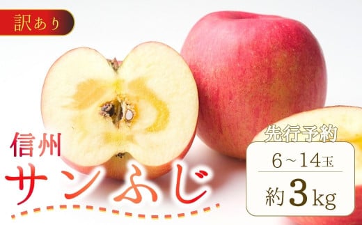 【2025年先行予約】訳あり りんご サンふじ 約3kg (6~14玉) 果物 フルーツ 長野県産 千曲市 信州 2037638 - 長野県千曲市