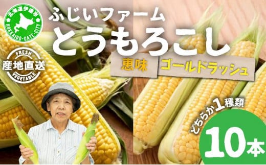 [5525-0484]北海道産 とうもろこし 恵味 ゴールドラッシュ 10本 Lサイズ トウモロコシ とうきび コーン スイートコーン先行受付 新鮮 朝採り 産地直送 国産 野菜 農作物 甘い めぐみ 人気 BBQ ふじいファーム  送料無料 1265334 - 北海道伊達市