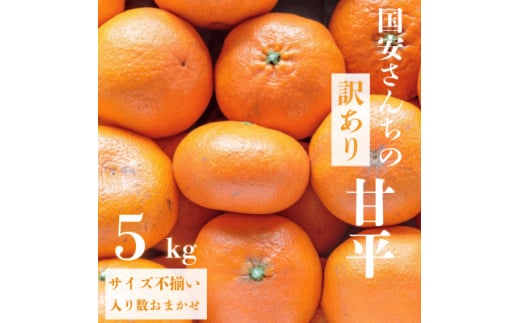 ＜愛媛が誇る 高級みかん 希少品種＞訳あり 甘平 (かんぺい) 5kg＜F20-59＞【1620338】