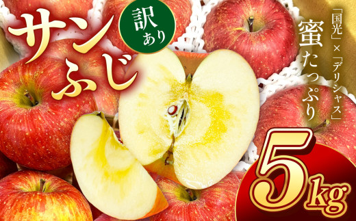 南信州産 サンふじ 訳あり 約5kg 10～20玉 ＪＡみなみ信州ＤＭセンター飯田市 | りんご リンゴ 林檎 サンふじ さんふじ 果物 ジューシー フルーツ 南信州 送料無料 ふるさと納税 長野県 飯田市