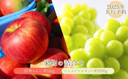 [2025年先行予約] シャインマスカット 約500g・りんご3種詰め合わせ 計約2kg(5~8玉)セット ぶどう 葡萄 マスカット 林檎 詰合せ 果物 フルーツ 長野県産 千曲市 信州