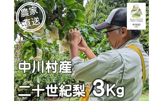 農家直送】桃沢農園のなし（二十世紀）約３Kg±