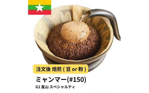 コーヒー #150 ミャンマー G1 星山 310g 当日焙煎 大山珈琲 (豆または中挽きから選択)