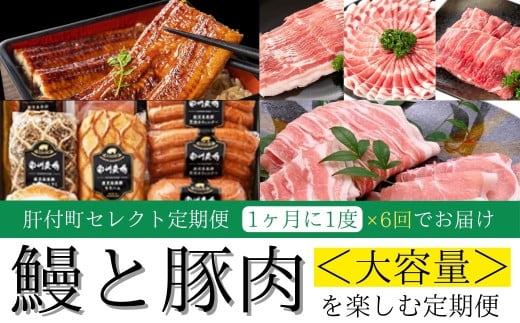 F90004 ＜定期便・全6回＞肝付町セレクト定期便《大容量 鰻と豚肉を楽しむ定期便》 鹿児島  豚肉 鹿児島県産 黒豚 鰻 とんかつ しゃぶしゃぶ ハム ウィンナー 定期便 セレクト  冷凍 冷凍食品 【株式会社きもつき未来商社そらまち】