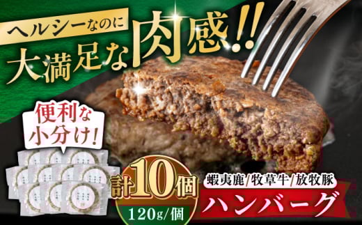 【蝦夷鹿×牧草牛×放牧豚】ハンバーグ 10個《厚真町》【GOODGOOD株式会社】 ハンバーグ 鹿肉 牛肉 豚肉 小分け 冷凍配送 北海道 [AXBP004] 1411670 - 北海道厚真町