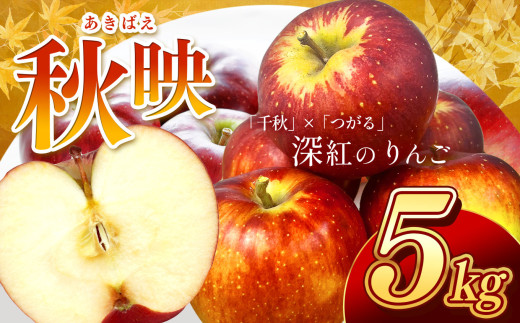 [南信州産]秋映 秀品 約5k 10〜18玉 JAみなみ信州DMセンター飯田市 | 秋映 りんご 林檎 リンゴ 果汁 果物 フルーツ 信州 南信州 送料無料 ふるさと納税 長野県 飯田市