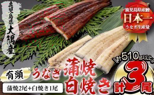 楠田の極うなぎ 蒲焼き2尾・白焼き1尾170g以上×3尾(510g以上) b2-011 473629 - 鹿児島県志布志市