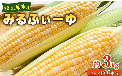 とうもろこし ミルフィーユ 10本 約3㎏ 糖度 コーン 甘い 美味しい 野菜 バーベキュー 産地直送 バイカラー 新鮮 生鮮 食品 大石農園 おいし~農園 静岡県 牧之原市