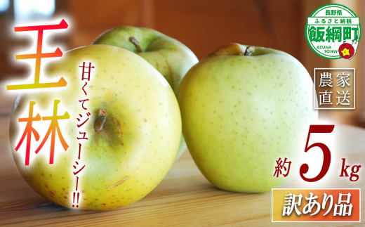 【 あまいりんご ／ 王林 】 りんご 王林 訳あり 5kg アグリファーム小林 信州の環境にやさしい農産物認証 （ 長野県認証 No50-30-00064 ） 沖縄県への配送不可 2025年11月上旬頃から2025年11月下旬頃まで順次発送予定 令和7年度収穫分 甘いりんご 長野県 飯綱町 [1998]
